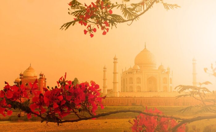 golden triangle itinerary 5 nights 6 days